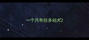 一个月布拉多幼犬