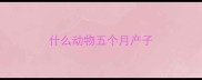 什么动物五个月产子