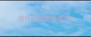 用什么给宠物磨牙