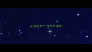 小贵宾几个月开始懂事
