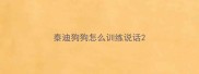 泰迪狗狗怎么训练说话