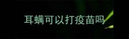 耳螨可以打疫苗吗