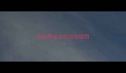 我觉得金毛比边牧聪明