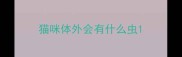 猫咪体外会有什么虫