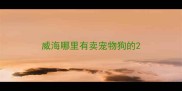 威海哪里有卖宠物狗的