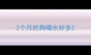 2个月的狗喝水好多