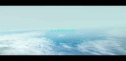 哈士奇怀孕45天