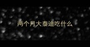 两个月大泰迪吃什么
