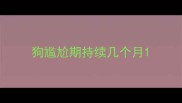 狗尴尬期持续几个月