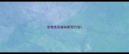 宠物美容基础教程打包