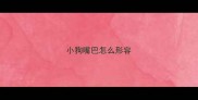 小狗嘴巴怎么形容