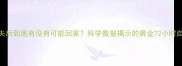 狗狗走失后到底有没有可能回家科学数据揭示的黄金72小时自救指南