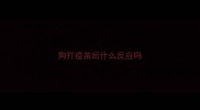 狗打疫苗后什么反应吗