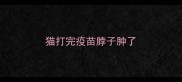 猫打完疫苗脖子肿了