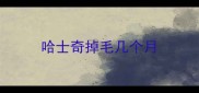 哈士奇掉毛几个月