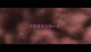 犬疫苗多少钱一次