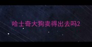 哈士奇大狗卖得出去吗