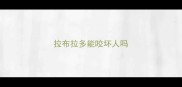 拉布拉多能咬坏人吗