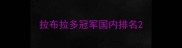 拉布拉多冠军国内排名