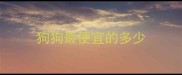 狗狗最便宜的多少