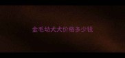 金毛幼犬犬价格多少钱