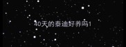 40天的泰迪好养吗