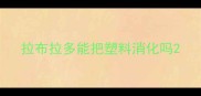 拉布拉多能把塑料消化吗