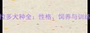 拉布拉多犬种全性格饲养与训练指南