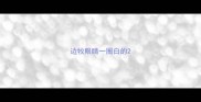 边牧眼睛一圈白的