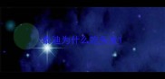泰迪为什么吃头发