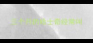三个月的哈士奇经常叫