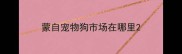 蒙自宠物狗市场在哪里