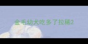 金毛幼犬吃多了拉稀