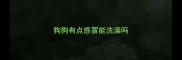 狗狗有点感冒能洗澡吗