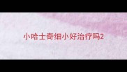 小哈士奇细小好治疗吗