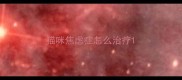 猫咪焦虑症怎么治疗