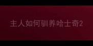 主人如何驯养哈士奇