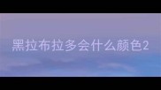 黑拉布拉多会什么颜色