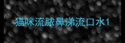 猫咪流脓鼻涕流口水