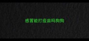 感冒能打疫苗吗狗狗
