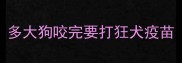 多大狗咬完要打狂犬疫苗