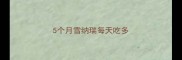 5个月雪纳瑞每天吃多