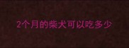 2个月的柴犬可以吃多少