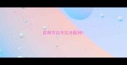 昆明市拉布拉多配种