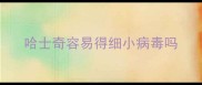 哈士奇容易得细小病毒吗