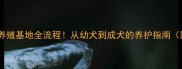 沈阳拉布拉多养殖基地全流程从幼犬到成犬的养护指南附高清图片