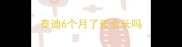 泰迪6个月了还会长吗