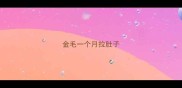 金毛一个月拉肚子