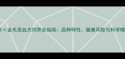 拉布拉多金毛混血犬饲养全指南品种特性健康风险与科学喂养方案