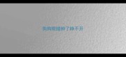 狗狗眼睛肿了睁不开